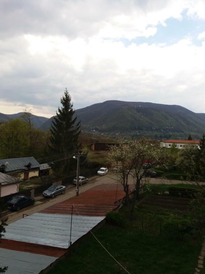 Ferienwohnung Apartament Elefant Tg. Ocna Tîrgu Ocna Exterior foto